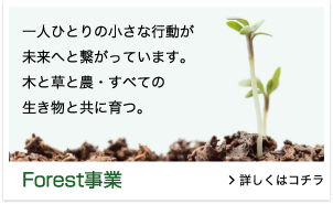 Forest事業